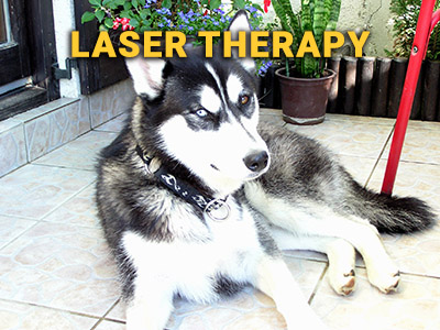 lasertherapy