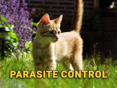 parasitecontrol